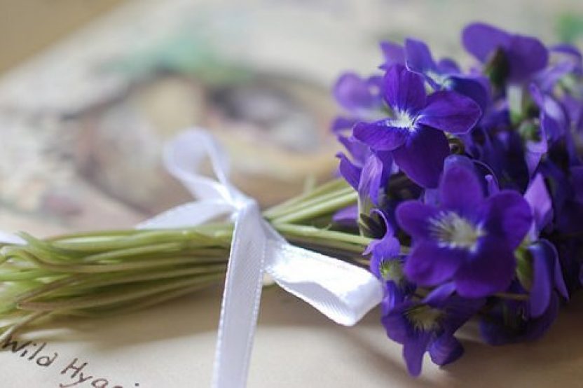 Álbum 200+ violetas ramo de flores - Abzlocal.mx