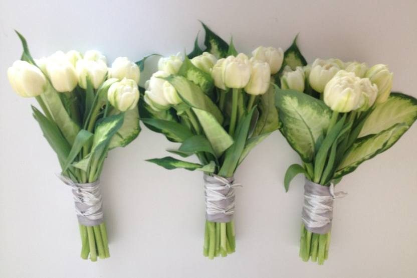 Álbum 200+ ramo de tulipanes para novia