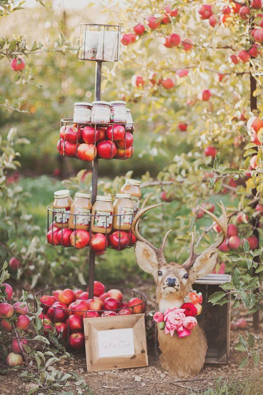 Фотозона с яблоками