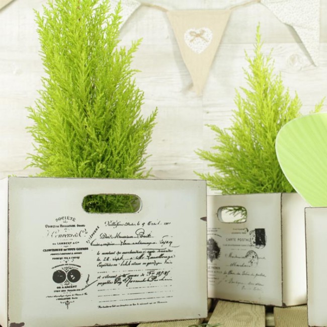Caja de madera blanco decapado: Decoración original